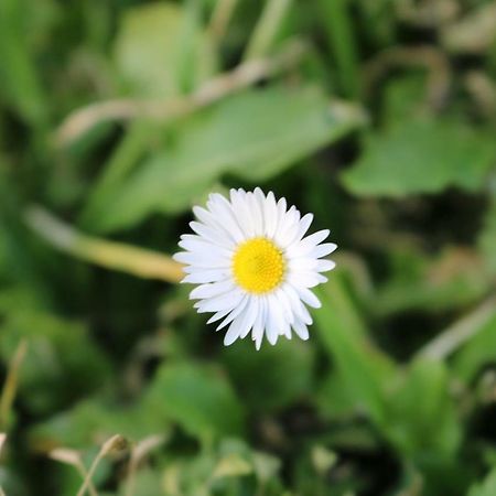 卡索莱代尔萨 Il Fienile Nella Roccia旅馆 外观 照片