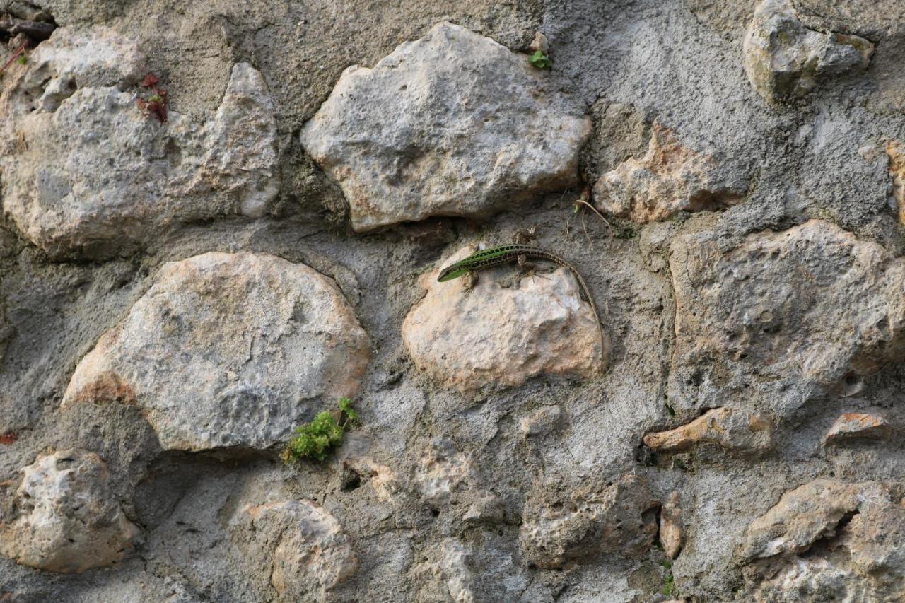 卡索莱代尔萨 Il Fienile Nella Roccia旅馆 外观 照片